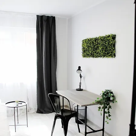 Sh Team 4 Fuer Max 19 Personen L Monteure L Messe L Business