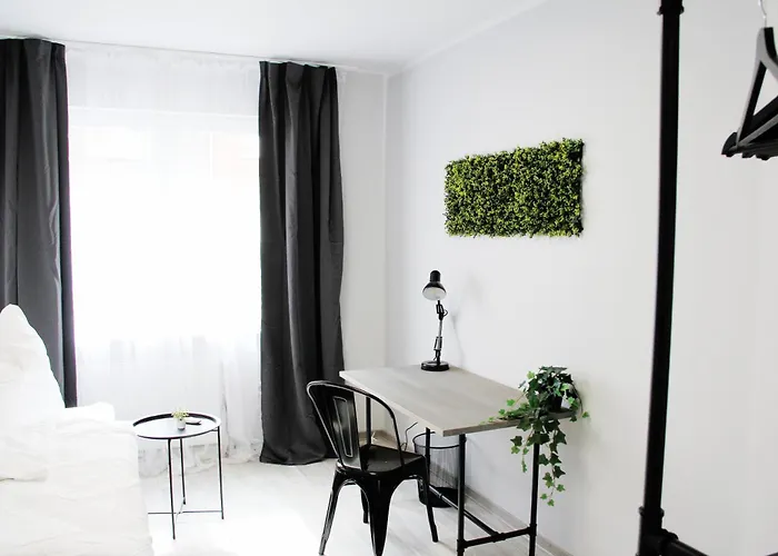 Sh Team 4 Für Max 19 Personen L Monteure L Messe L Business